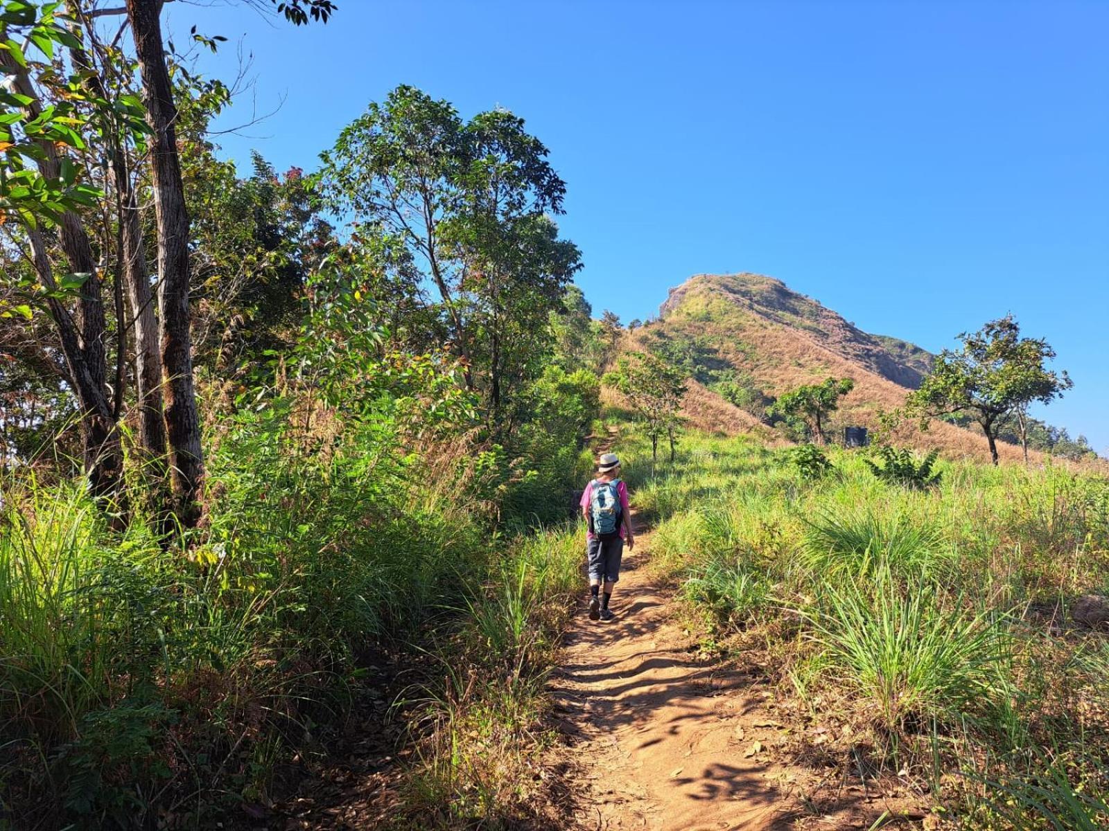 Munnar Village Homes Zewnętrze zdjęcie