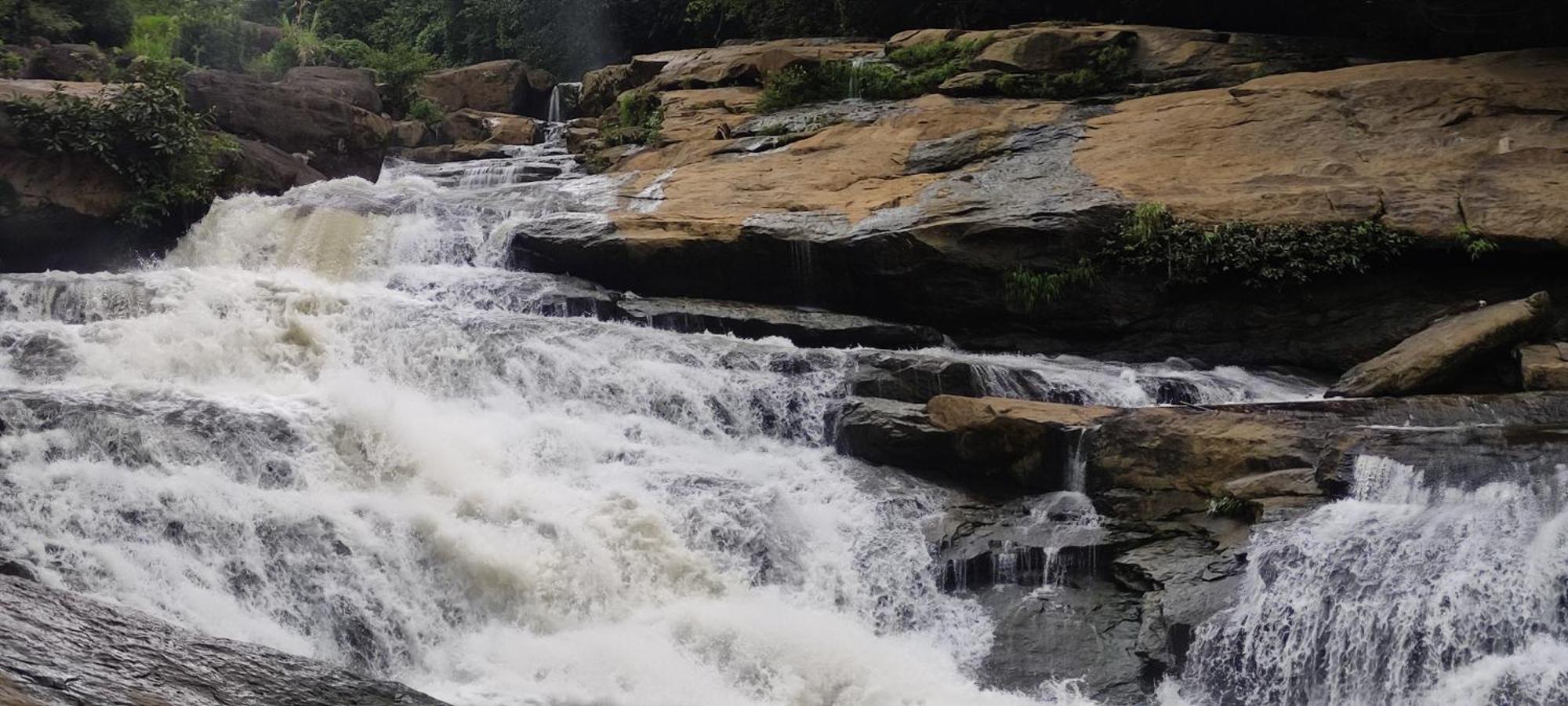 Munnar Village Homes Zewnętrze zdjęcie