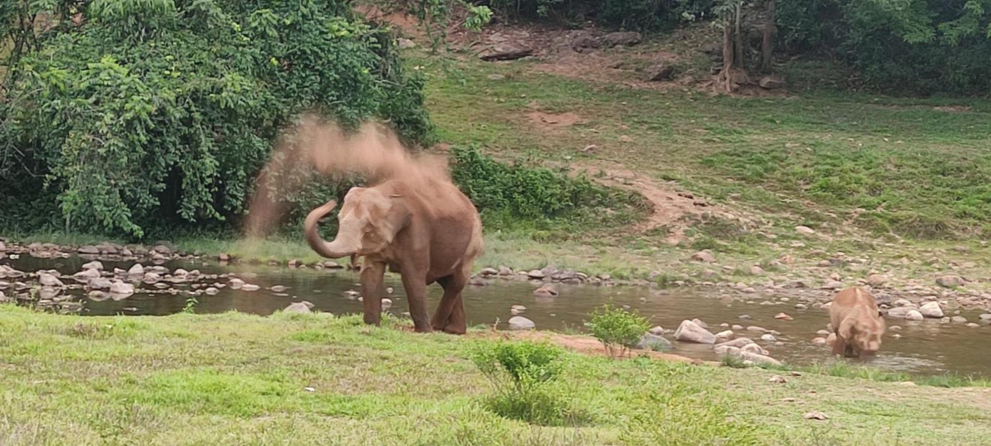 Munnar Village Homes Zewnętrze zdjęcie