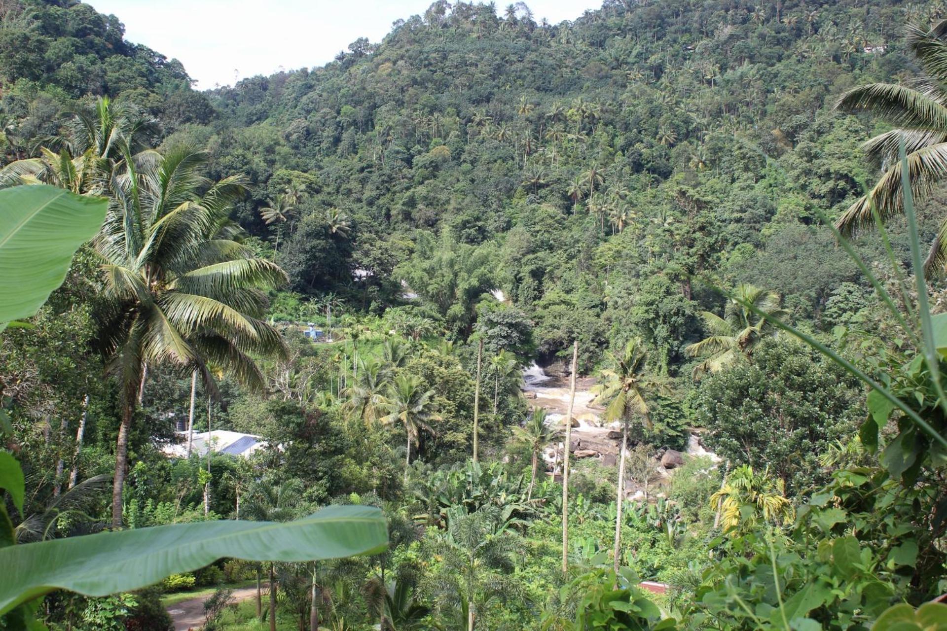 Munnar Village Homes Zewnętrze zdjęcie