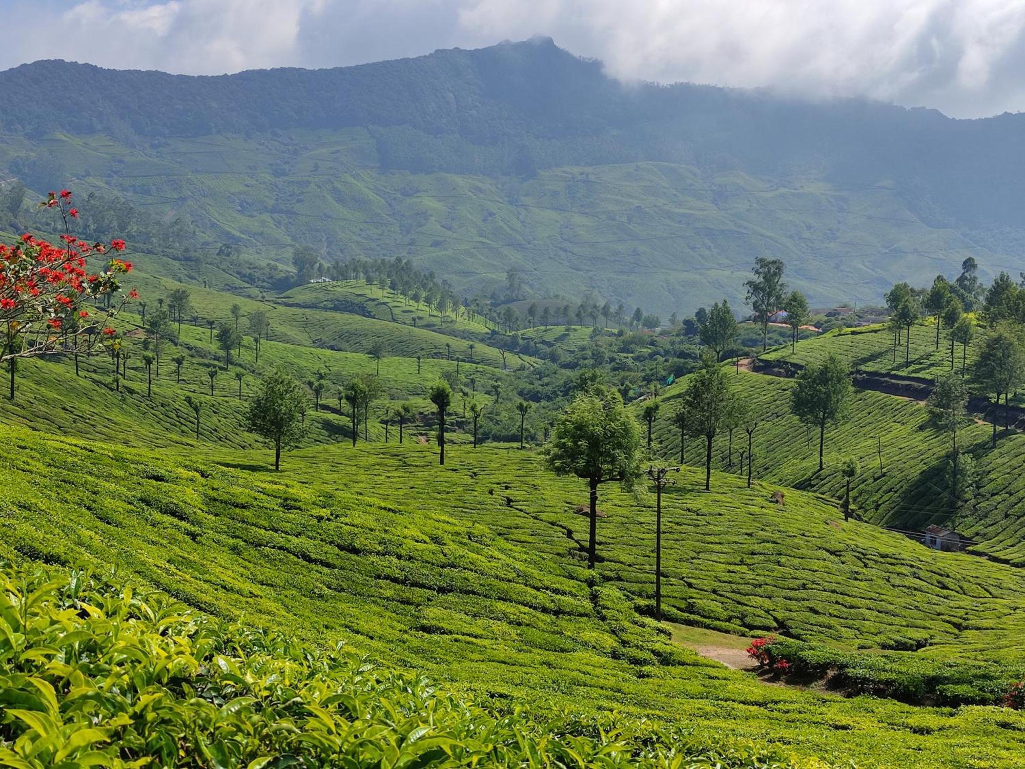 Munnar Village Homes Zewnętrze zdjęcie